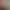 Blog Preview
