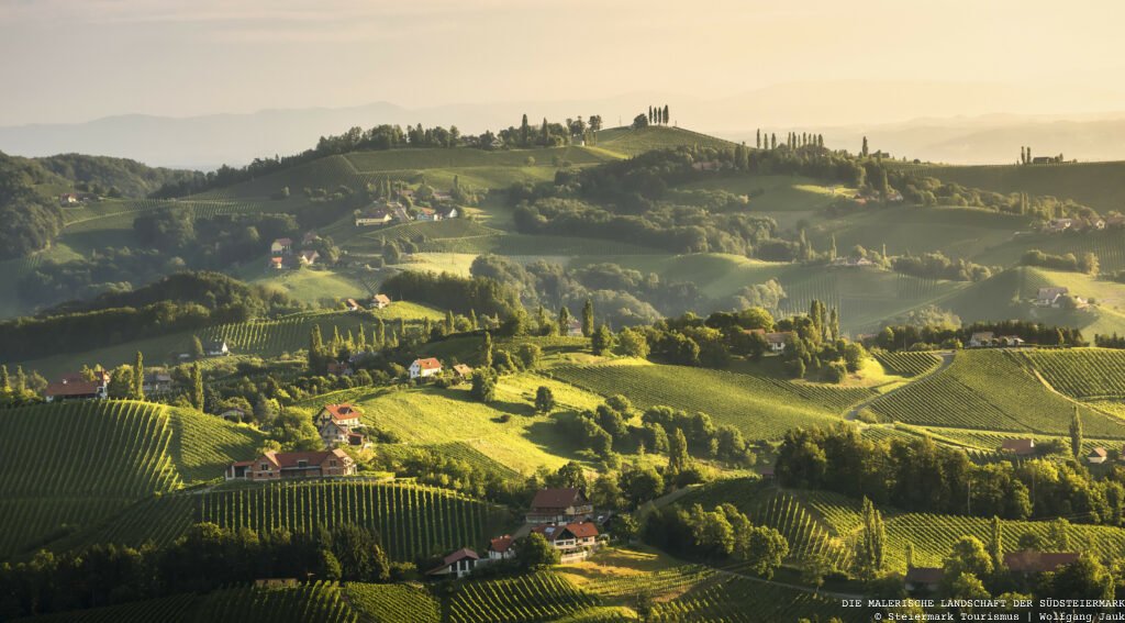 Weinland im Süden